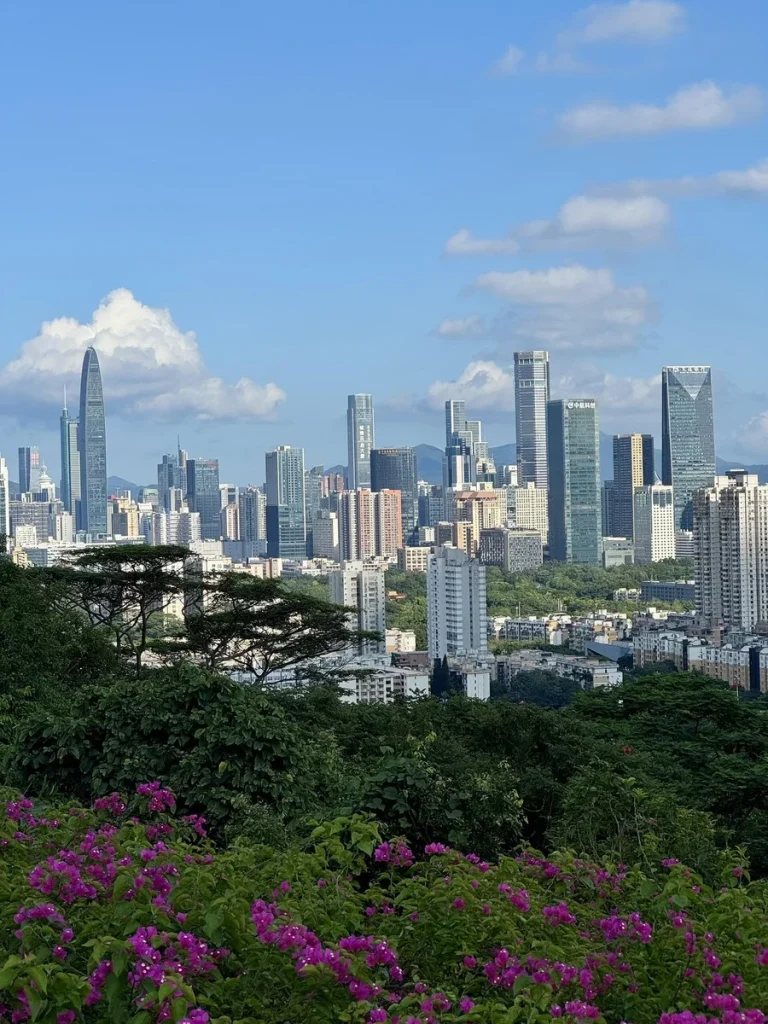 Vibrant bougainvillea flowers in foreground with Shenzhen's modern skyline, including the 'Spring Bamboo' tower, visible behi