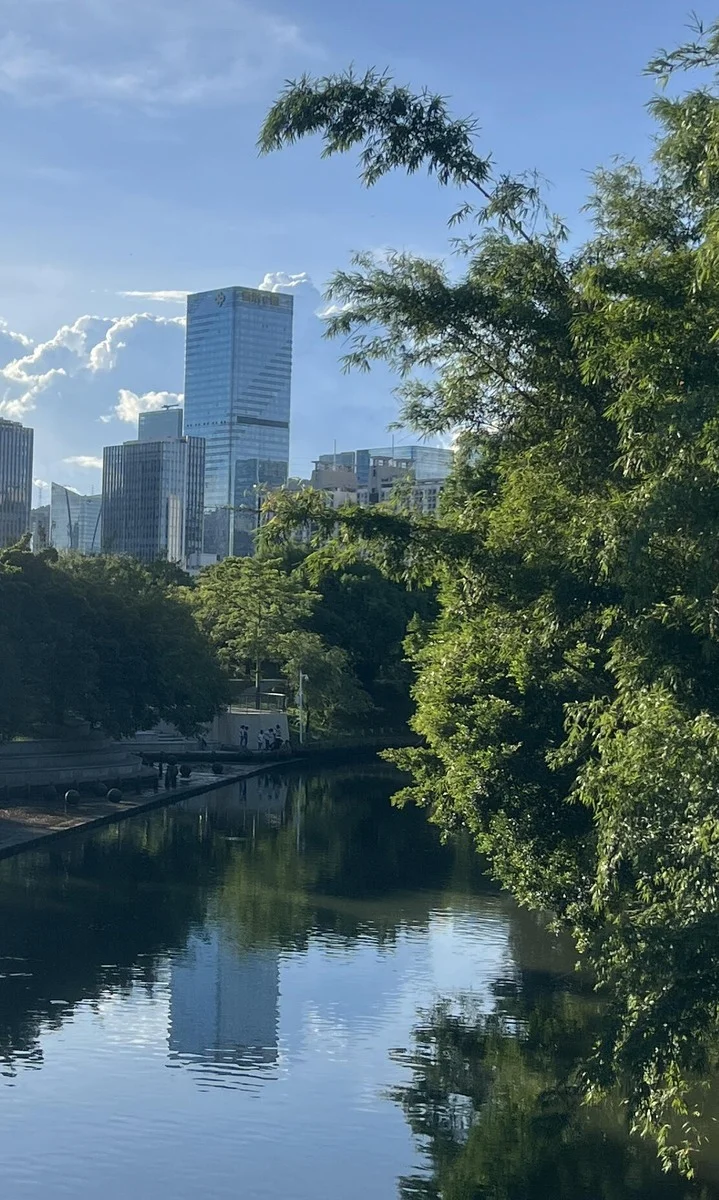 Panoramic view of Luohu CBD skyline reflected in a calm river, framed by lush green trees at Bijia Mountain Park.